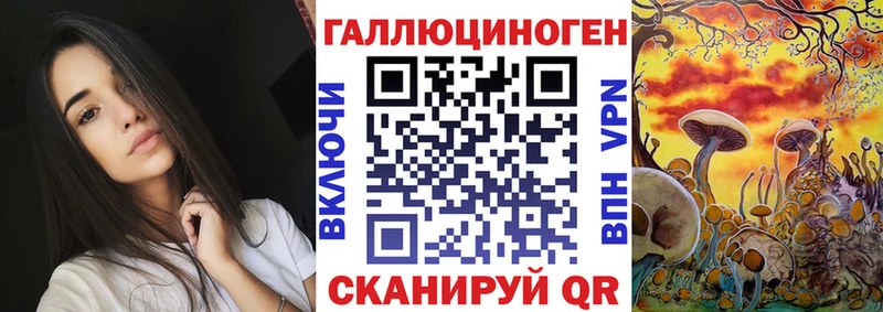 Псилоцибиновые грибы Psilocybine cubensis Алушта