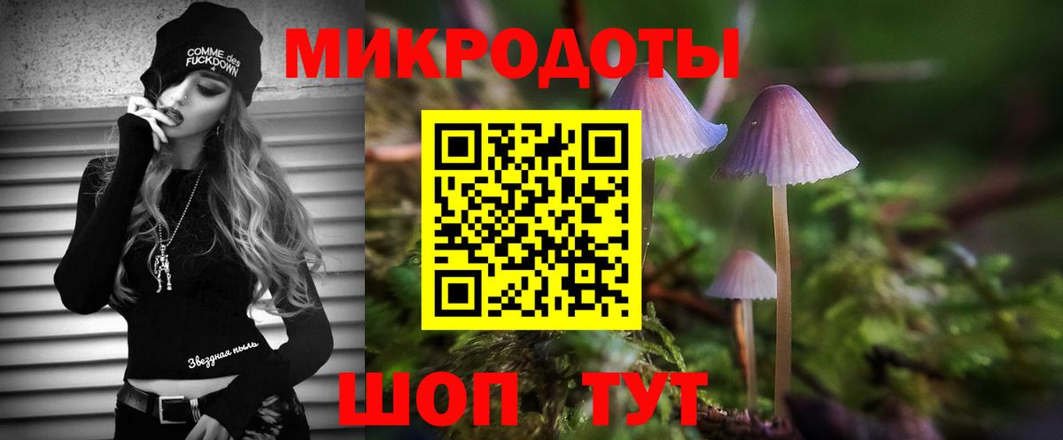 Галлюциногенные грибы Psilocybine cubensis  Вход с VPN  Алушта 